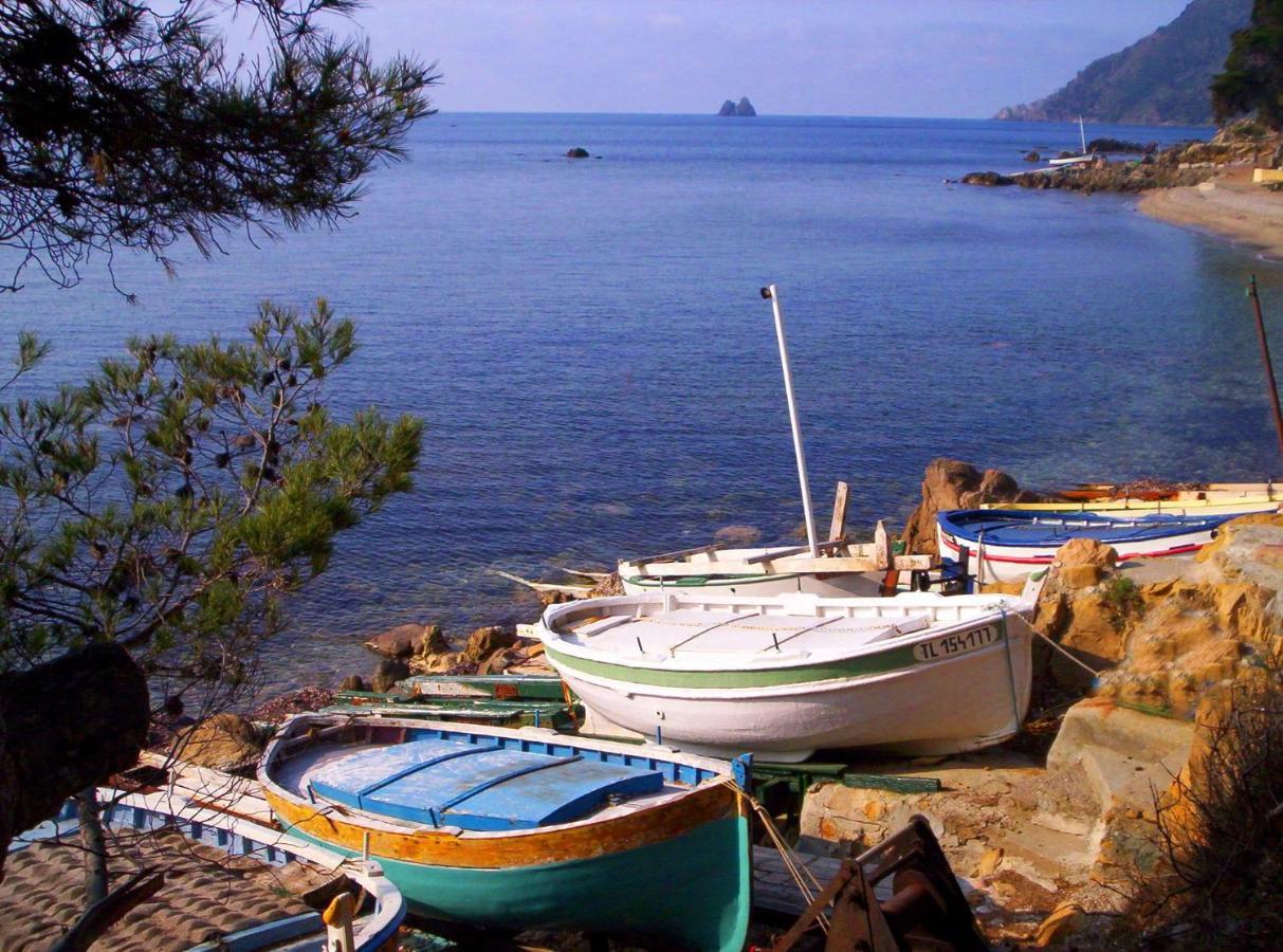 "L'Hippocampe", Climatise, 60 M2 , 2 Chambres, Tres Calme, Plage Des Sablettes Et Commerces A 3 Minutes A Pied, Wifi, Parking Gratuit, Lit King Size 라센느쉬르메르 외부 사진